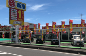 store
